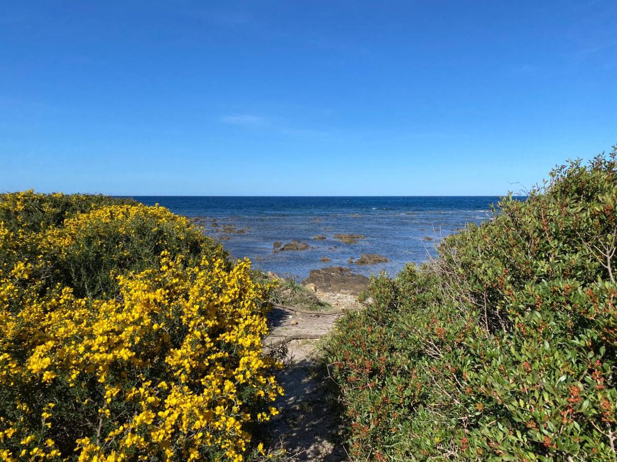 La PAVONCELLA sul MARE Villa Tanaunella Esterno foto