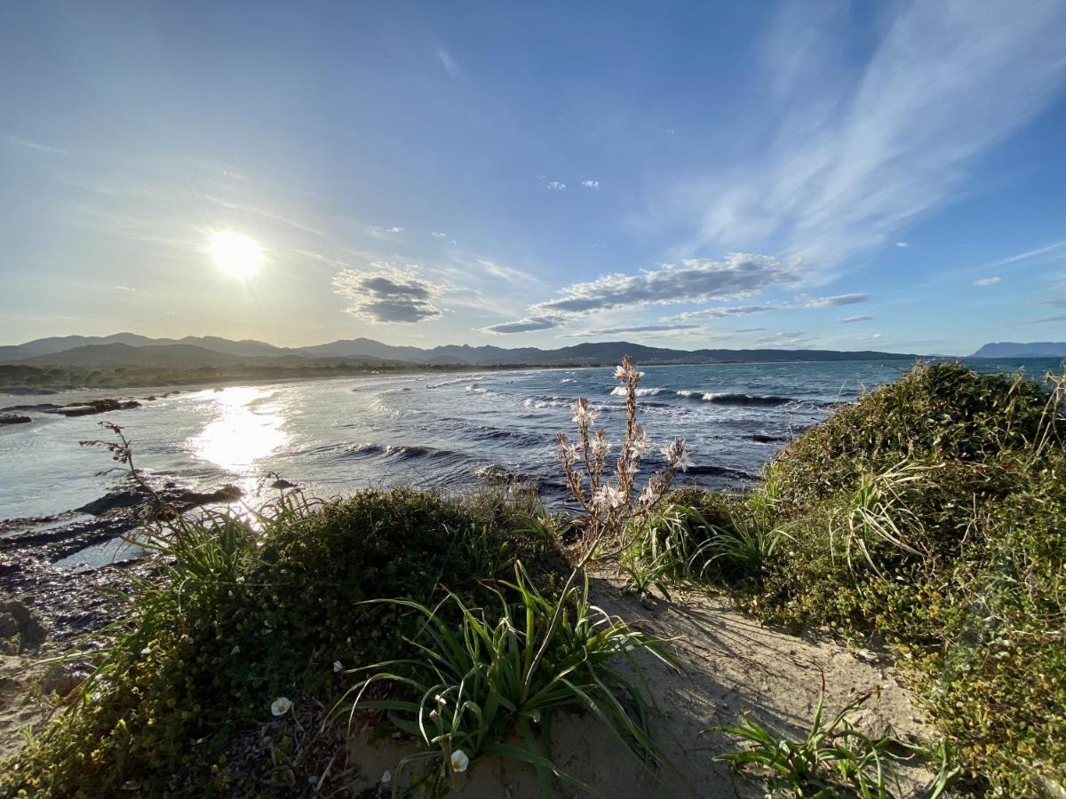 La PAVONCELLA sul MARE Villa Tanaunella Esterno foto