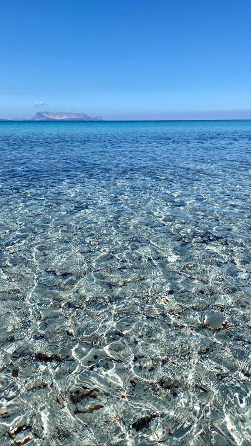 La PAVONCELLA sul MARE Villa Tanaunella Esterno foto