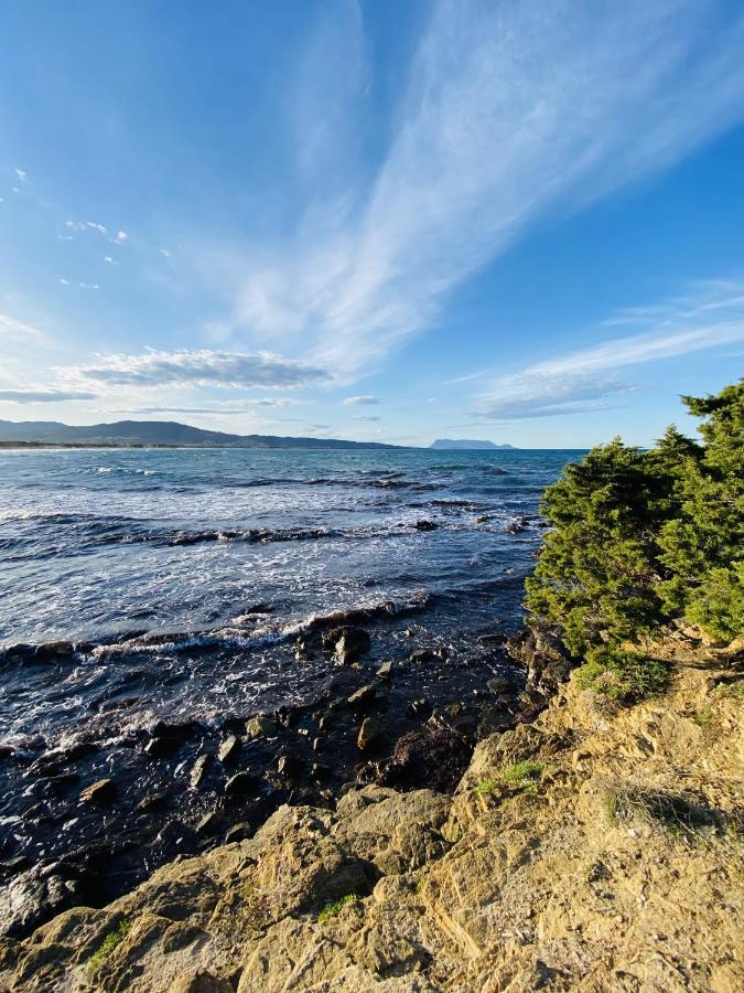 La PAVONCELLA sul MARE Villa Tanaunella Esterno foto